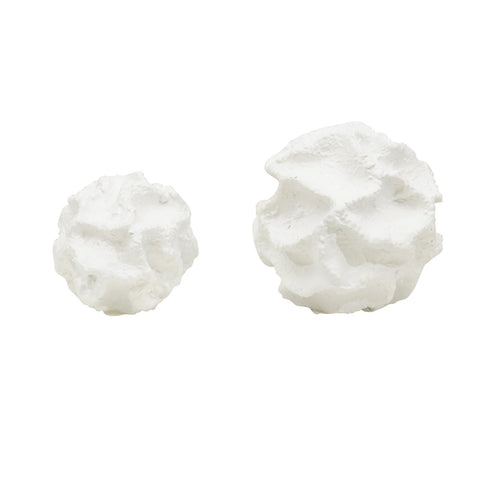 White Coral Object